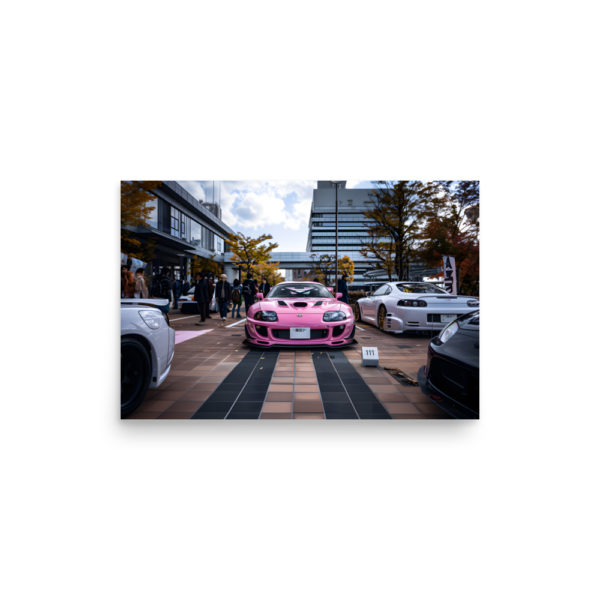 Supra Poster - Image 4
