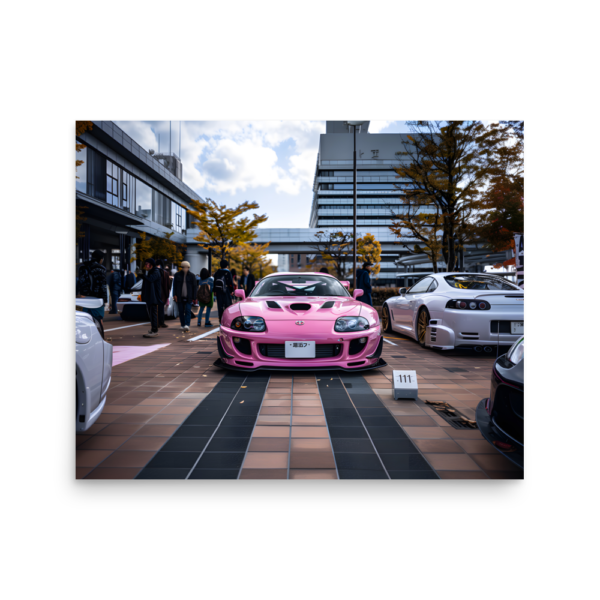 Supra Poster - Image 5
