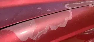 burned clear coat damaged car paint